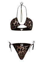 Wild & Sexy