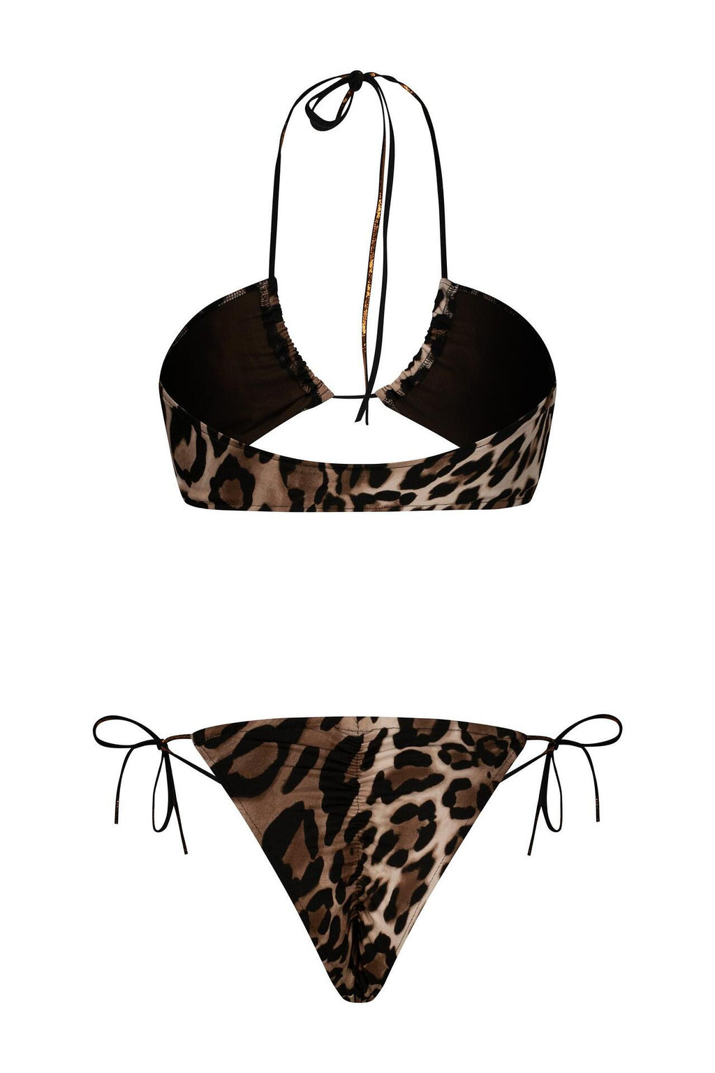 Wild & Sexy